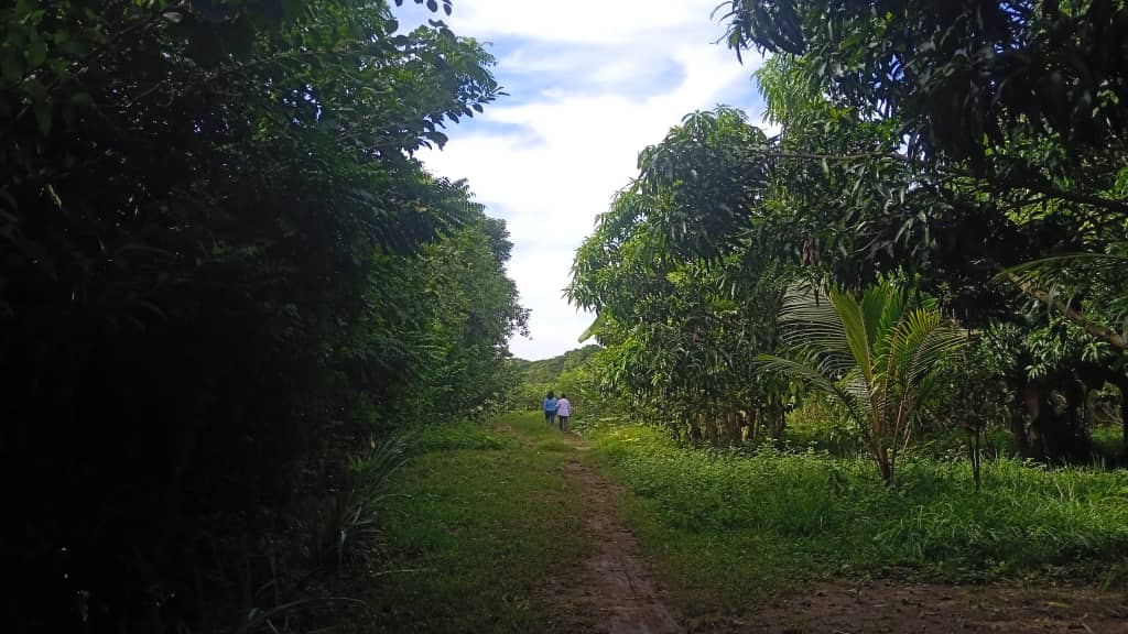 Sancti Spíritus fortalece prácticas agroecológicas en función de la soberanía alimentaria