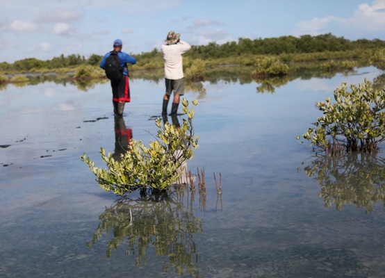 Los humedales, un ecosistema de vida imprescindible, a partir de las reservas de agua. Foto:  Oscar Alfonso Sosa.