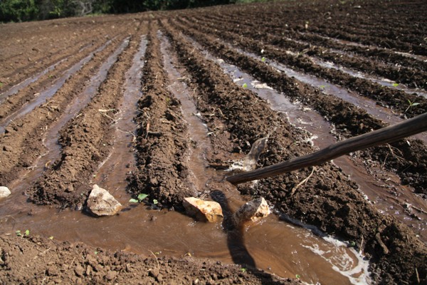 El uso racional, en toda actividad, alargará la existencia del agua y la supervivencia humana. Foto:  Oscar Alfonso Sosa.