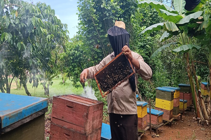 Contribuye Laboratorio apícola espirituano a elevar calidad de la miel cubana