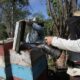 Con la primavera, los apicultores dinamizan el quehacer en sus apiarios. Foto: Oscar Alfonso Sosa.