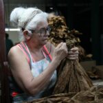 Aromas más allá de las vegas