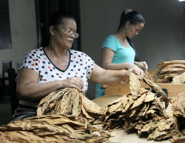 Las manos suaves aportan vida a las capas. Foto: Oscar Alfonso Sosa.