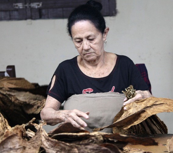 Esos rostros hacen más exquisito el Habano que vendrá. Foto: Oscar Alfonso Sosa.