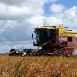 Valoran en La Sierpe proyecciones económicas para 2026