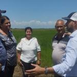 Chequean producción de arroz a partir del encadenamiento con actores económicos no estatales en La Sierpe