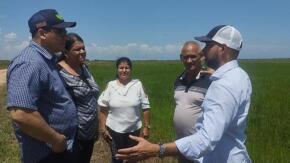 Chequean producción de arroz a partir del encadenamiento con actores económicos no estatales en La Sierpe
