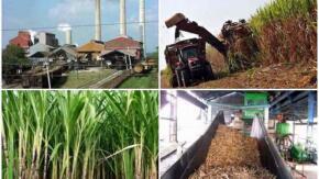 Empresa Uruguay busca diversificar sus producciones