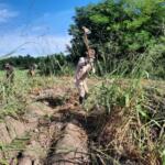 Veterano azucarero sigue pegado al plantón
