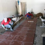 Mercado agropecuario especializado suma expectativas en Banao