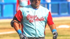Gallos yayaberos en semifinales de Liga Elite de Béisbol