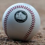 Comisión Nacional de Béisbol informa suspensión de juegos por huracán Melissa