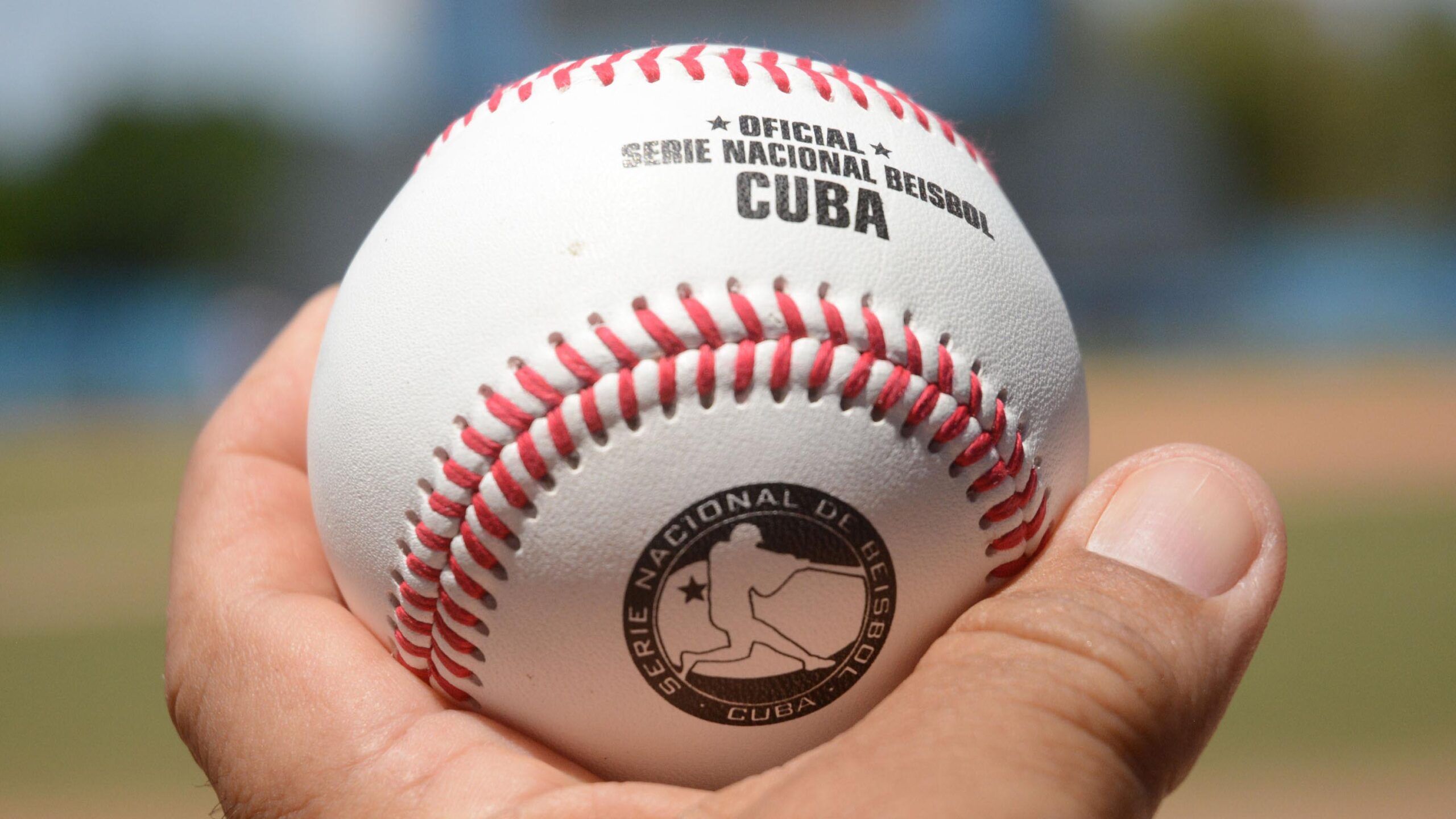 Gallos abren con victoria choque con los Tigres