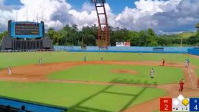 Gallos pican a los Cocodrilos y los dejan al campo (+ video)