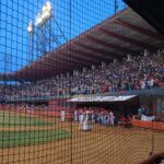 Avispas derrotan a los Leones y fuerzan séptimo juego
