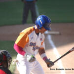 Gallos espirituanos a «enlazar» a los Toros de la llanura