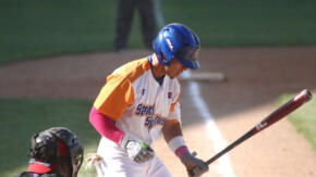 Gallos espirituanos a «enlazar» a los Toros de la llanura