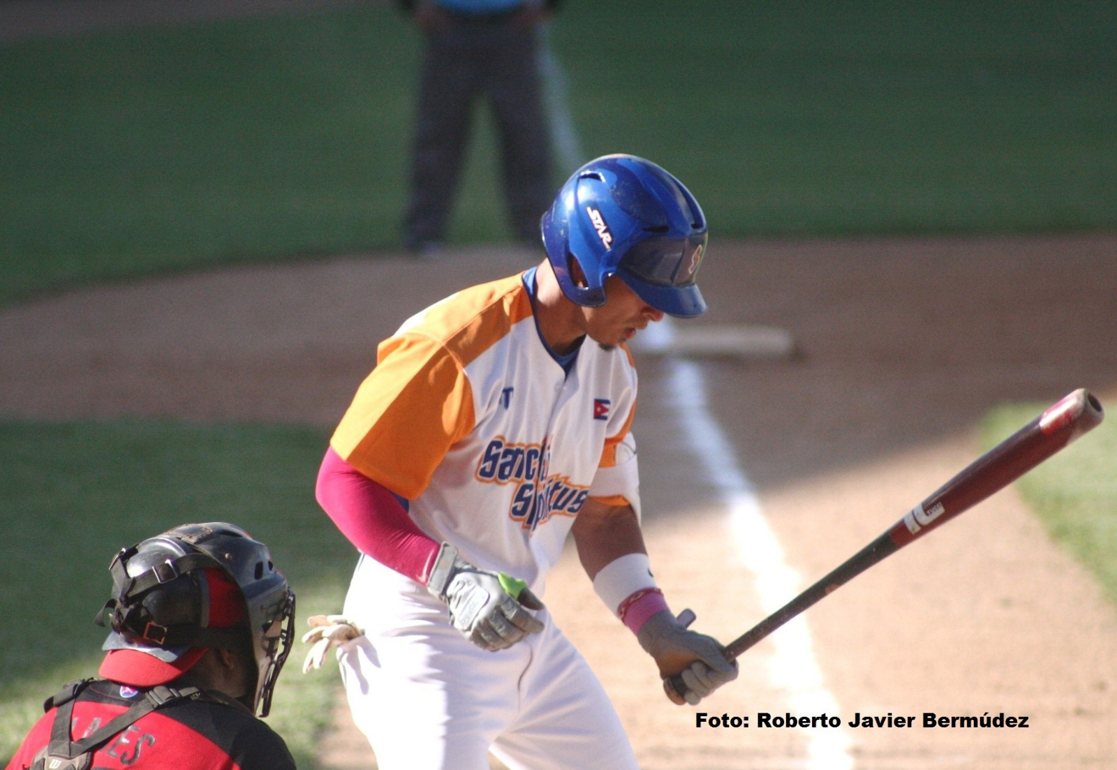 Gallos espirituanos a «enlazar» a los Toros de la llanura