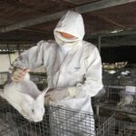 Bioterio, referente en la investigación científica