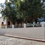 Casa de la Guayabera ofrecerá programación diversa durante etapa estival
