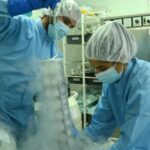Biotecnología espirituana aporta en obtención de candidato vacunal contra el dengue