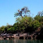 Parque Caguanes, uno de los centros arqueológicos de Cuba