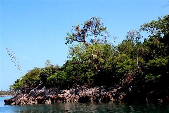 Parque Caguanes, uno de los centros arqueológicos de Cuba