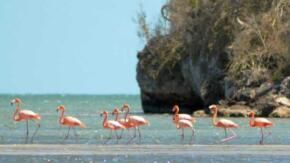 Sancti Spíritus ¿un oasis medioambiental?