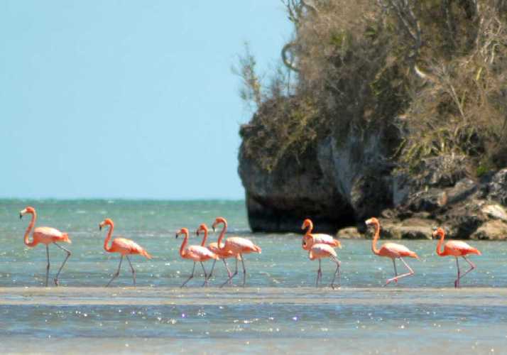 Sancti Spíritus ¿un oasis medioambiental?