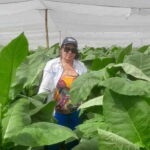 Reconocen labor de mujer campesina de Cabaiguán
