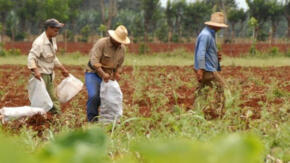 ¿Por qué se celebra el 17 de Mayo el Día del Campesino en Cuba?