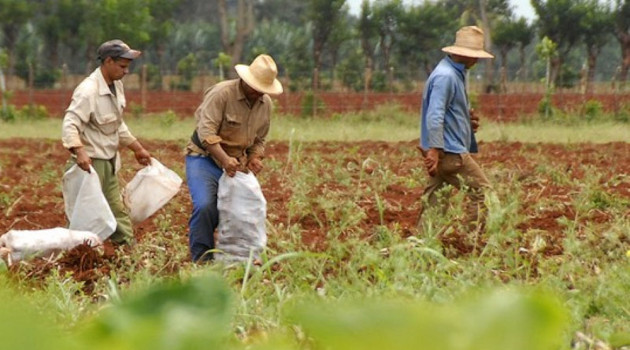 ¿Por qué se celebra el 17 de Mayo el Día del Campesino en Cuba?