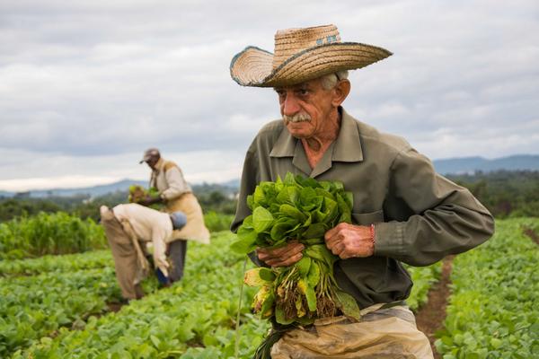 Con más beneficios régimen de seguridad social agropecuario