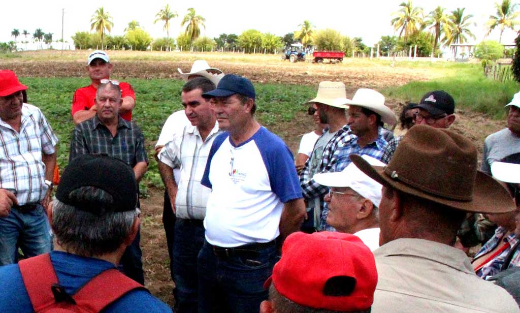 Un canto a la producción en Cabaiguán  (+Fotos)