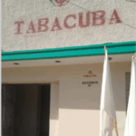Agabama acoge nueva escogida de tabaco