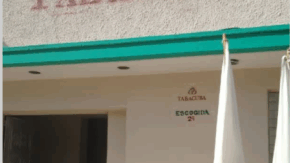 Agabama acoge nueva escogida de tabaco