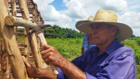 El guardián de las casas de tabaco