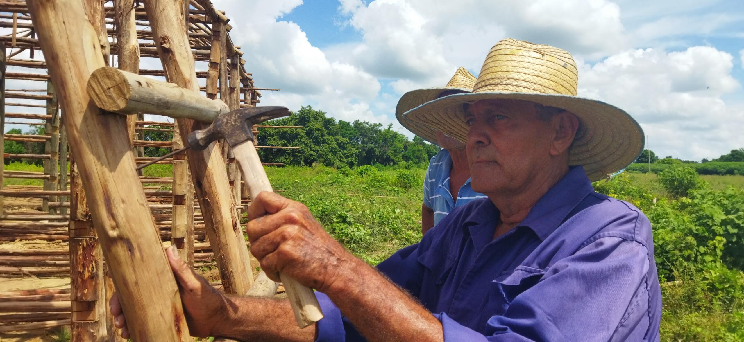 El guardián de las casas de tabaco