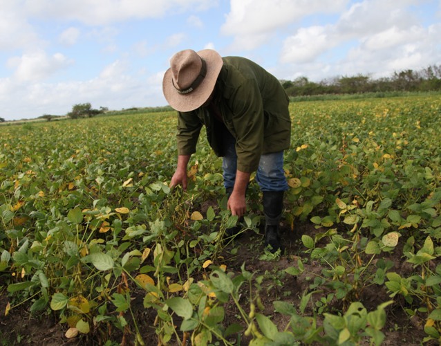 Ciencia mueve desarrollo agropecuario