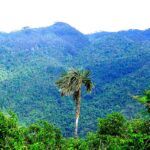 Parque Natural Topes de Collantes bellezas y riquezas únicas en Cuba (+Fotos)