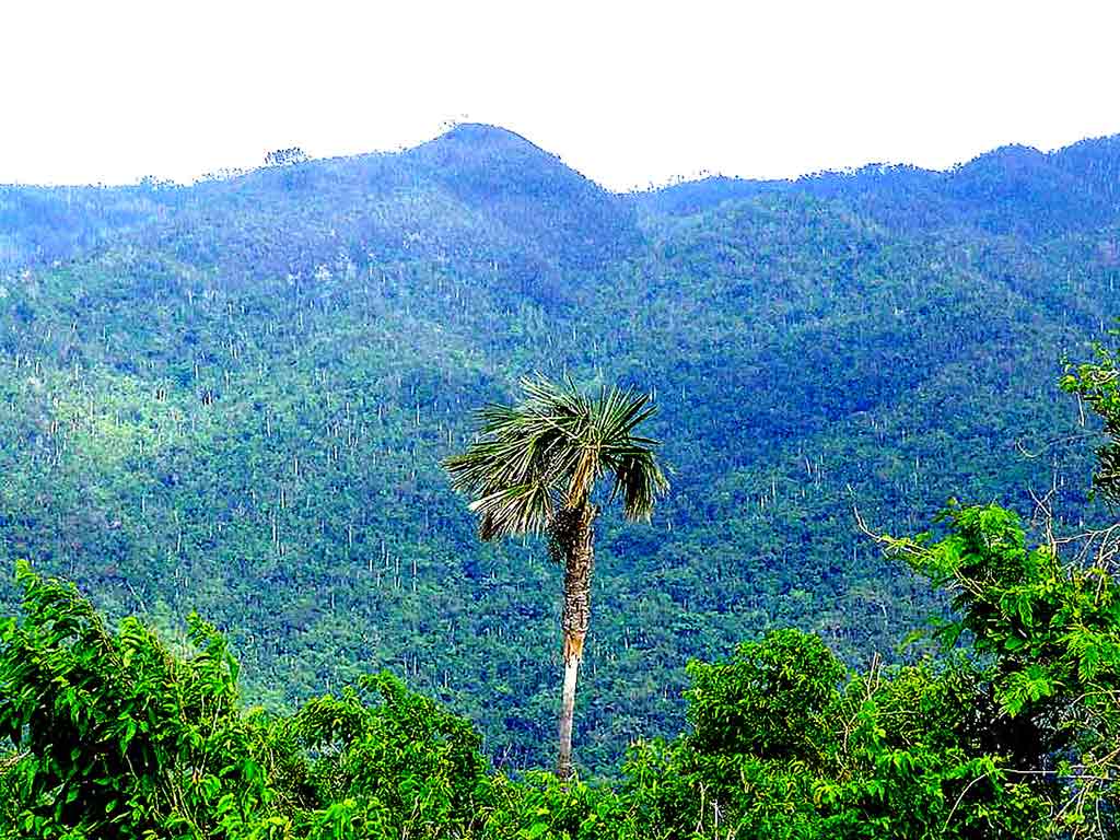 Parque Natural Topes de Collantes bellezas y riquezas únicas en Cuba (+Fotos)
