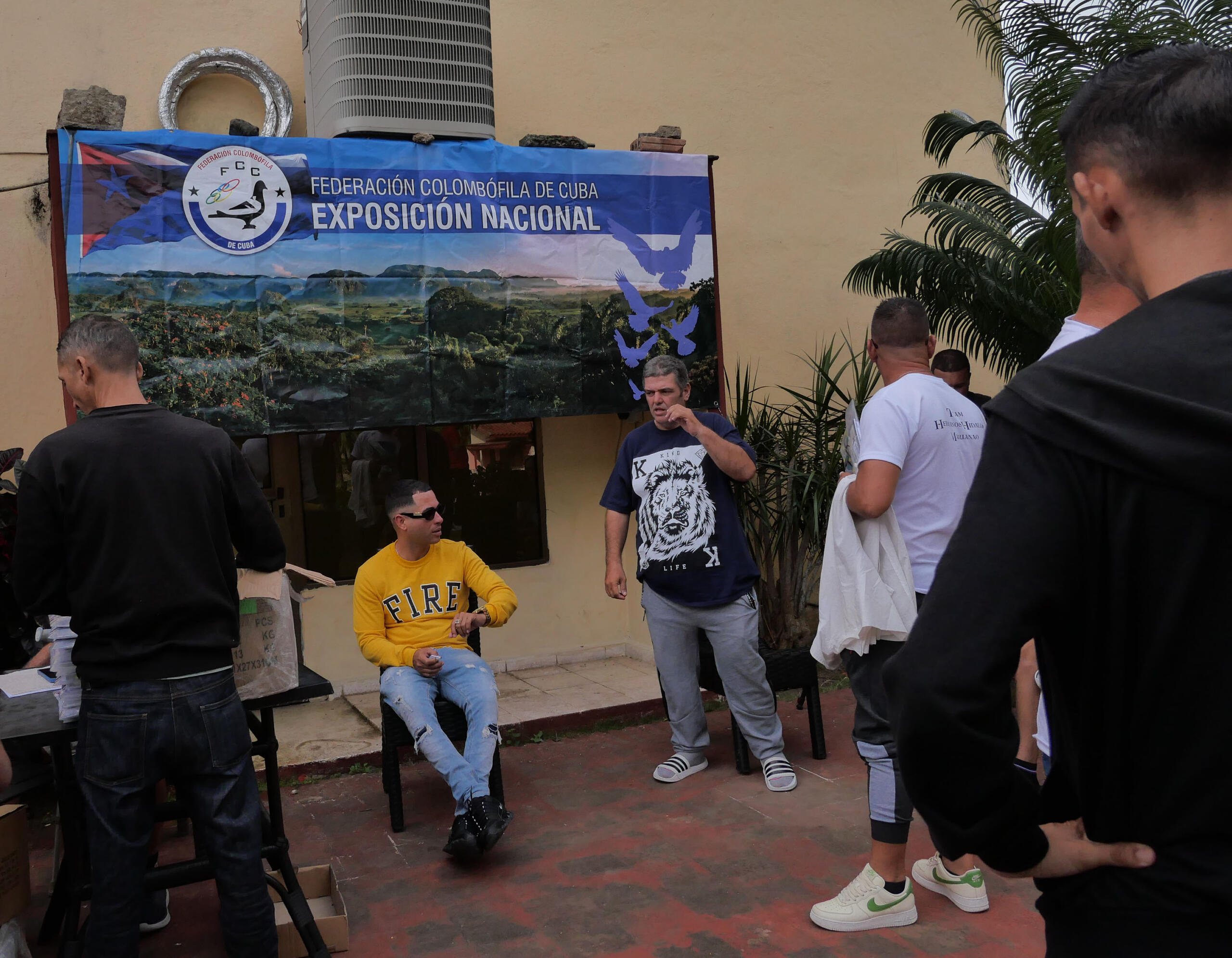 Colombófilos cubanos exponen en Sancti Spíritus