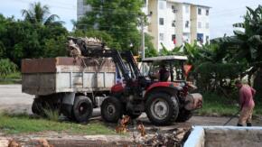 Saneamiento y disciplina, vitales para frenar repunte de arbovirosis
