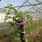 Anapistas trinitarios suman esfuerzos para contribuir a alimentación popular