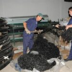 Cooperativa espirituana La Esperanza apuesta por más