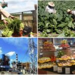 Sancti Spíritus aspira a desarrollarse sin cambios mágicos