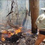 Controlan incendio de grandes proporciones en Pinar del Río