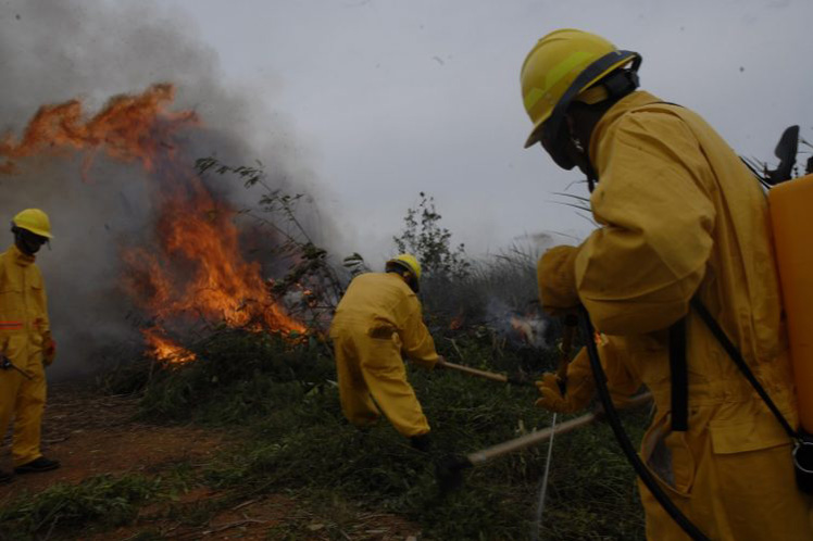 Acción humana, causa fundamental de los incendios forestales en Cuba