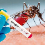 Vuela alto el dengue en Sancti Spíritus