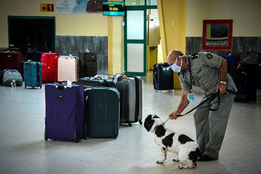 Sostiene Cuba el combate al tráfico de estupefacientes